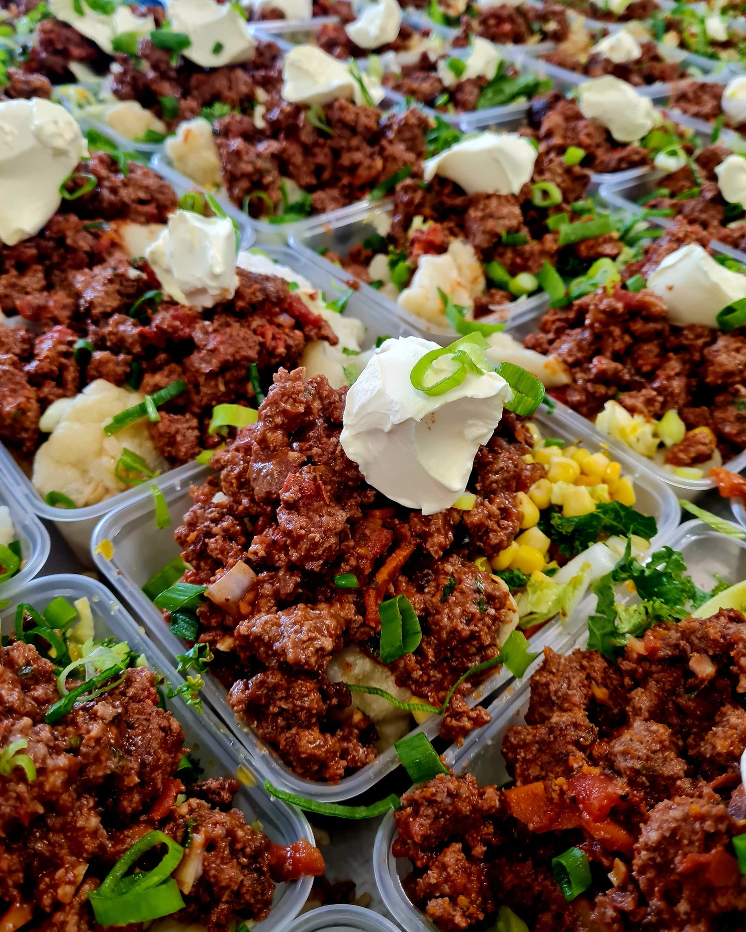 Performance - 12 pack – Easy Fit Meals